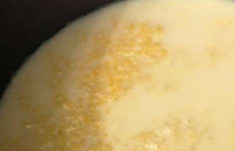 Кукурузная каша на молоке в мультиварке рецепт с фото по шагам - фото 1 шага 