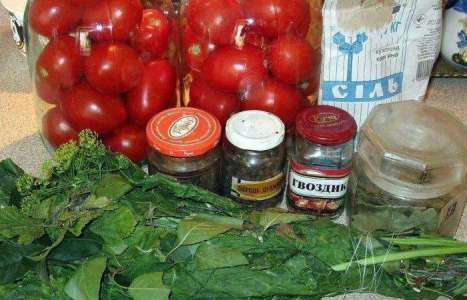 Квашеные помидоры рецепт с фото по шагам - фото 1 шага 