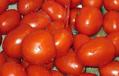 Квашеные помидоры рецепт с фото по шагам - фото 2 шага 