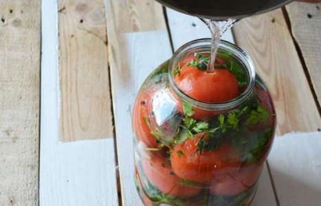 Малосольные помидоры по-грузински рецепт с фото по шагам - фото 9 шага 
