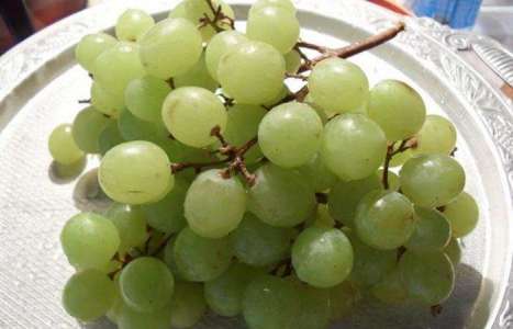 Маринованный виноград рецепт с фото по шагам - фото 1 шага 