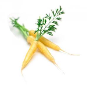 Морковь желтая