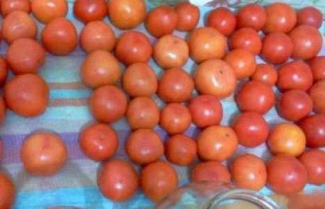 Сладкие маринованные помидоры рецепт с фото по шагам - фото 2 шага 