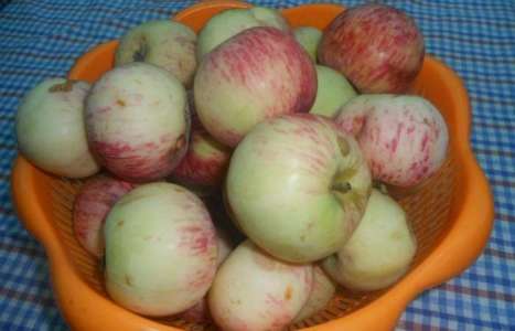Яблочное варенье дольками рецепт с фото по шагам - фото 1 шага 
