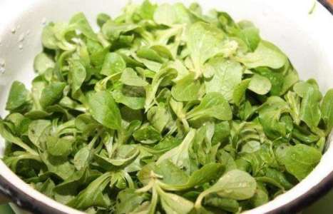 Зеленый салат с козьим сыром рецепт с фото по шагам - фото 1 шага 